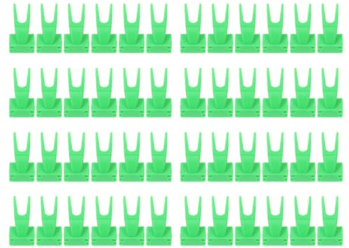 Abaodam 50 Tenedores para Jaula de Pájaros Grandes en Color Verde, Herramienta Fija para Alimentación de Loros y Soporte de Frutas y Verduras, Complemento Práctico para