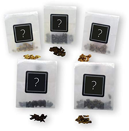 Random Bonsai Seed Collection | 5 Different Seeds | Grow Your Own Bonsai Tree | Growing Guides