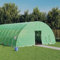 Gecheer Gewächshaus Tunnelgewächshaus Gartenhaus Garten Treibhaus Pflanzenhaus Tomatenhaus Frühbeet mit Stahlrahmen Grün 72 m² 12x6x2,85 m