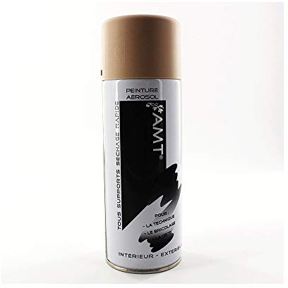 AMT Peinture aérosol Lin Mat