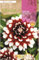 Peyca Bulbo de flor variedad Dalia decorativa Duet 1 unidad- Rocalba