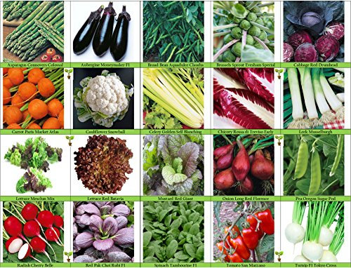 Viridis Hortus - Viridis Hortus - 20 Multi-Variety Vegetable Seeds Pack - Grow Your Own Vegetables - High Yield Seeds for Growing Veggies at Home - Perfect for Outdoor/Indoor Growing
