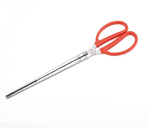 Toasis Stainless Steel Crabbing Tongs for Live Crabs Eels (Straight Tip)