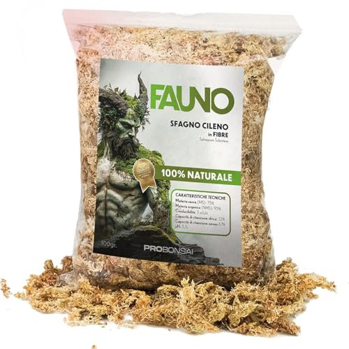 FAUNO – Sphaigne Naturelle pour Bonsaï | Sphagnum subnitens de Haute Qualité | Forte Rétention d’Eau et Isolation Thermique | Idéal pour Le Paillage et la Propagation | Sachet de 100 g