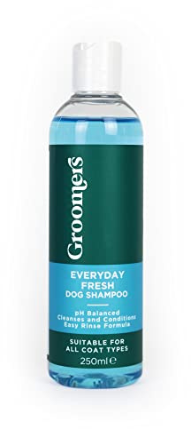 GROOMERS Everyday Fresh Dog Shampoo for grooming | Long lasting fragrance | Cleanses and conditions dirty dogs | pH balanced | Vegan | Paraben Free | Easy rinse | Suitable for all coats (250ml),Blue