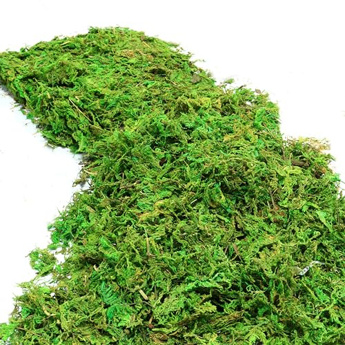 HanYun 80g Sphagnum Moss for Plant, Artificial Moss Decorative for Indoor Plant Pots Fake Green Grass for Garden Floral Arrangements and DIY Decorations (Green)