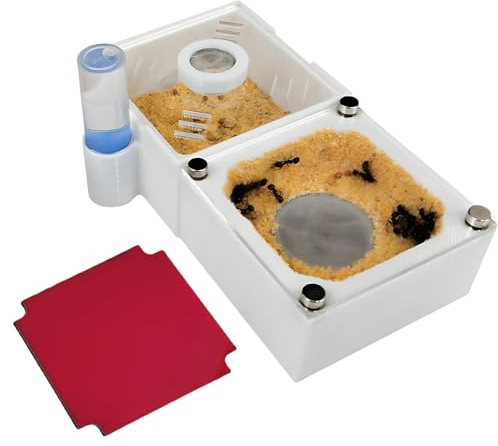 PioneerAnts Ant Farm Habitat Kit with Water Reservoir, Scientific Observation Set (Unopenable Version)