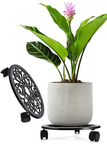 2WAYZ Plant Stand with Wheels - Heavy-Duty Rolling Plant Caddy - Dolly Base with Roller for Large Potted Plants and Flower Pot - Ideal for Indoor and Outdoor Planters - Set of 1 - Black