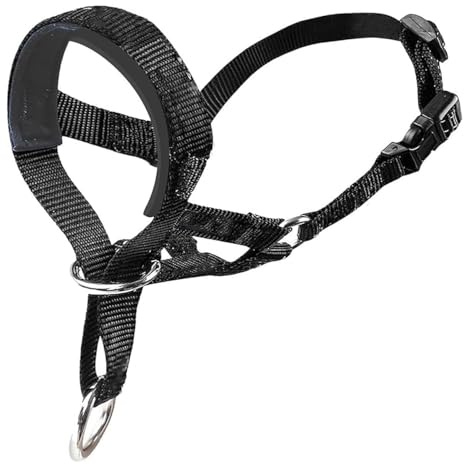 1 x Hundehalfter mit gepolstertem Stoff, Kopfgeschirr für Hunde, Anti-Zieh-Halfter, verstellbar und leicht zu kontrollieren (M, Schwarz)