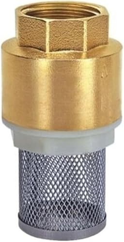 Filtro de bomba de agua de tubería, Filtro de colador de válvula de pie for hidrolavadora de bomba de agua, latón y acero inoxidable, varios tamaños(2)