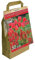 GreenBrokers Colour Collection Spring Flower Bulbs - Red