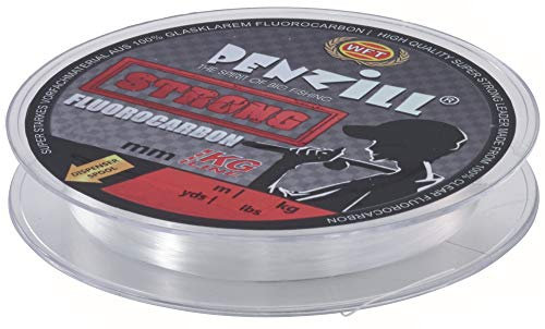 WFT Penzill Strong Fluorocarbon 100m - Vorfachschnur, Durchmesser/Tragkraft:0.25mm / 5.9kg Tragkraft