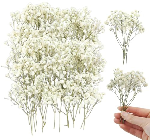 UIEXAY 100 Pcs Gypsophile Séché Mini Fleurs Sechees Naturelles Petites Fleurs Pressées Blanche pour Le Bricolage Les Bougies la Résine Les Bijoux Les Ongles L'Artisanat Fleurs Pressées Séchées