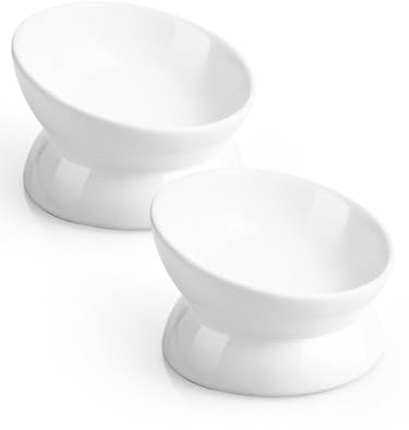 LoeJan Elevated Cat Food Bowl, 5 Oz Ceramic Raised and Tilted Pet Water Bowl, Anti Vomiting and Protect Pets' Spines Cat Dishes for Small Dog, Fat Faced Cat, Kitten (White, 2 Pack)
