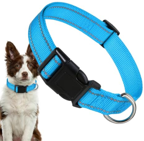 Reflekterande hundhalsband, justerbart valphalsband Justerbar Bekväm | Nylon djurhalsband för små hundar, , olika hundar