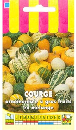 Sachet de graines de Courge ornementale à gros fruits en mélange - 3 g - légume décoratif - LES GRAINES BOCQUET