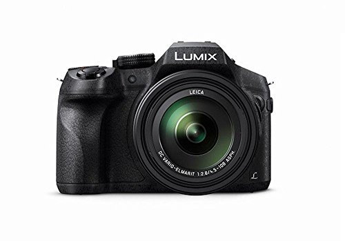 Panasonic LUMIX FZ300 Appareil Photo Pont intégral 4K 12,1 MP avec Design Robuste, Zoom Optique 24 x, Objectif Leica et Wi-FI (DMC-FZ300GNK)