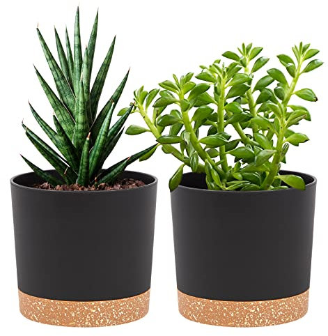 QCQHDU Bumentöpfe 2er Pack 12,7 cm,Bumentöpfe für Zimmerpflanzen mit Entwässerungslöchern und abnehmbarem Boden,Untersetzer Modern Dekorativ für Garten Pflanzgefäße im Freien(Dunkelgrau 12,7 cm)