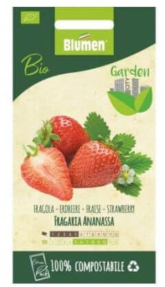 SEMI DI FRAGOLA BIO BLUMEN