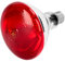 Zrwuldu Rotlichtlampe Wärmelampe 100W, Infrarotlampe für Reptilien Terrarium Lampe, E26 E27 Basking Spot für Hühnerfarmen, Schwein, Hund, Lebensmittelbeleuchtung, Bäder, Langlebig 6000 Stunden