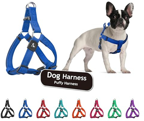 Kruz No Pull Dog Harness (Chest 21”-30”, Weight 22-53 lbs) Heavy-Duty Pet Harness for Medium Breeds, Ultra-Comfort Fit, Lifetime Durability, Adjustable Dog Harness No Pull Design (Blue, Medium)