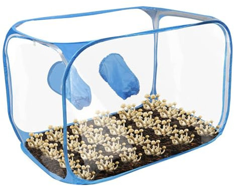 da allevamento di funghi, contenitore per la coltivazione di funghi, set di tende trasparenti | sacchetti per la coltivazione di funghi, contenitori per l'allevamento, design pop-up per gli