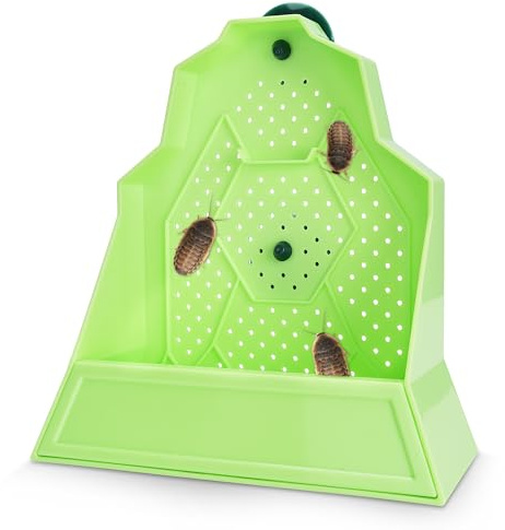Eckpo Reptile Anti-Escape Feeding Bowl, Wall-Mounted Feeder for Reptile, Stimulate Hunting Accessories for Terrarium, Vivarium and Paludarium, Suitable for Lizard, Gecko & Frog, Medium