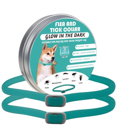 Zeckenhalsband für Hunde Leuchtendes Präventionshalsband gegen Parasiten auf Jede Größe verstellbar 2 STK Einstellbares Floh und Zeckenschutz mit bis zu 8-Monatigen Schutz (Green)