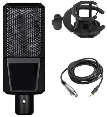 Fcuajdkq - Conjunto de micrófonos de condensador de estudio profesional D241 con soporte de micrófono para grabación de difusión