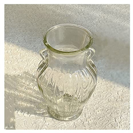 Blomvas Transparenta glasvaser Blommor Gröna växter Vattenkultur Vaser Torra blommor Blomsterarrangemang Transparenta bordsvaser Vas för blomsterarrangemang