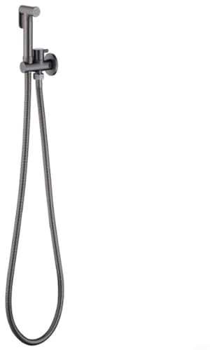 GANCEI Pulvérisateur de bidet à main pour WC, montage mural, en acier inoxydable, avec tuyau de 1,5 m, finition noire mate et argentée (argenté)