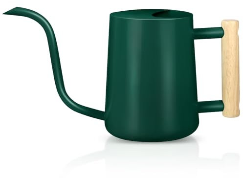 Watering Can Indoor Plants, 35oz Small Watering Can Stainless Steel Metal Watering Cans Modern Decorative Watering Pot with Long Spout for Indoor House Plant Bonsai Garden Flowers- Alpine green