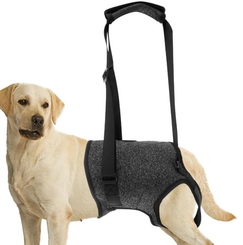 Fyeme Aide au Transport pour Chien - Patte arrière réglable - avec poignée Confortable et - pour blessure, Handicap, arthrite, Jambe de Chien - Aide à la rééducation (XL)