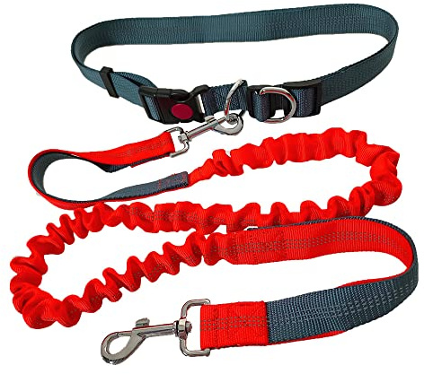 QitinDasen Laisse chien mains libres, ceinture réglable gris et laisse élastique rétractable à double poignée orange, jogging avec coutures réfléchissantes