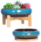 Succulent Plant Pot - 18.5/25 CM Large Bonsai Pot with Tray Set of 2, Colorful Succulent Pot Ceramic Pots for Cactus Plants Garden Decorative Flower Pot