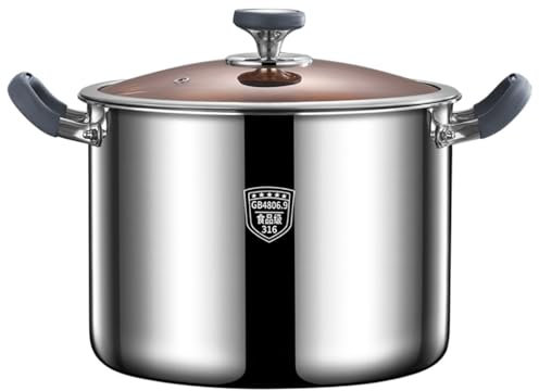 GXXINGIN Marmite en Acier Inoxydable 316, Compatible Induction avec Couvercle en Verre, Grande capacité, Classique et Profonde, pour pâtes, soupes, Congee, Spaghettis (24 cm)