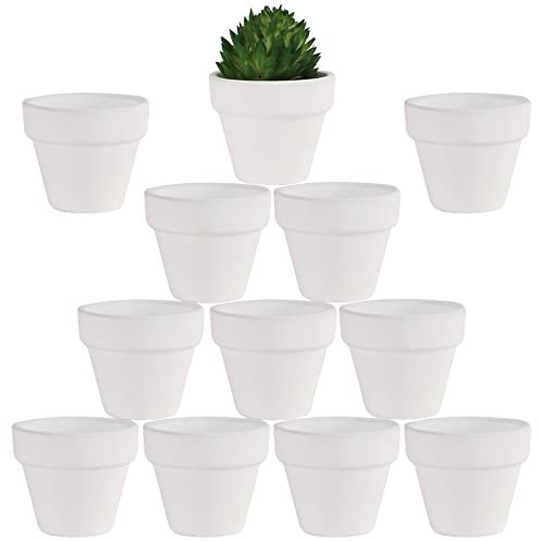 Yishang Pequeñas macetas de terracota blanca de 1.9 pulgadas, paquete de 12 pequeñas macetas de arcilla blanca con agujeros de drenaje, maceta de terracota para cactus pequeños, hierbas, plantas