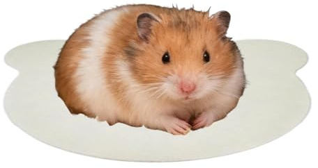 Tappetino Rinfrescante per Criceti Cuscinetto di Ghiaccio Animali Piccoli | Tappetino Rinfrescante per Ricci Criceti, Criceti Nani, Gerbilli, Cincillà, Coniglietti, Furetti, Porcellini