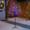 Christow Cherry Blossom Tree 150 LED Light Up Indoor Outdoor Christmas Decoration 150cm / 5ft (Multi Coloured)