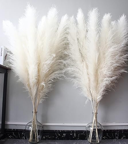 Bannifll 46 pollici 10 steli di Pampas Grass Bianco Decorativo Alto, Piante Secche, Fiori Secchi Naturali per Matrimonio, Decorazione Naturale per la Casa, Erba da Parete, Decorazione Glam