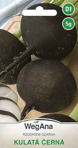 WegAna Kulata Cerna Radis noir rond graines 5g, Environ 500 graines, Graines de légumes robustes, Graines de légumes, Graines de culture, Graines pour la serre