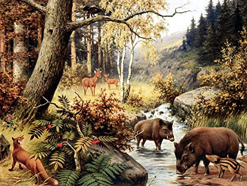 QHDXL Peinture par Numero Adulte Sanglier Cerf Peinture à l'huile de Bricolage DIY Peindre par Nombre pour Enfants Seniors Débutan Chiffres Brosses et Peintures 40x50cm Sans Cadre