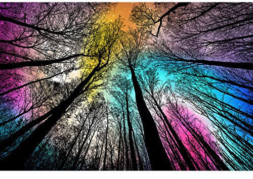 Bgraamiens Puzzle-Forest Under Starry Night-1000 Pieces Gradient Magic Colorful Puzzle for Adult,Hard Challenge Puzzle for Adult