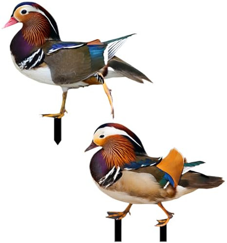 Veesper Love Birds 2 PièCes RéSistant Aux IntempéRies Impressionnants Canards Mandarins Jardin Debout Animal Cadeau DéCorations ExtéRieures pour Cour Patio Pelouse Canards Mandarins