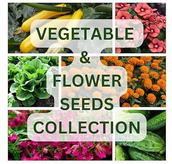 Nojus - Mezcla de Semillas de Flores y Hortalizas – 50 Variedades en Sobres Herméticos - Caja Surtida de Semillas para Jardín - 50 Paquetes de Semillas - Kit de Inicio con Semillas Variadas