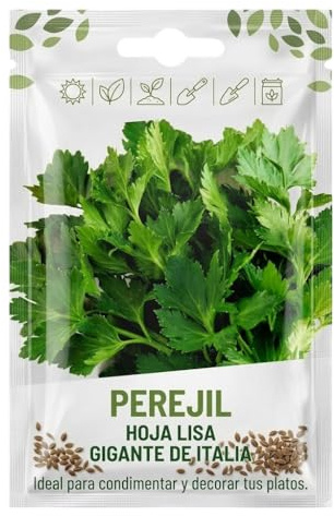 Perejil Aromático para Cultivo Doméstico – Semillas de Perejil para Huerto Urbano DECOALIVE