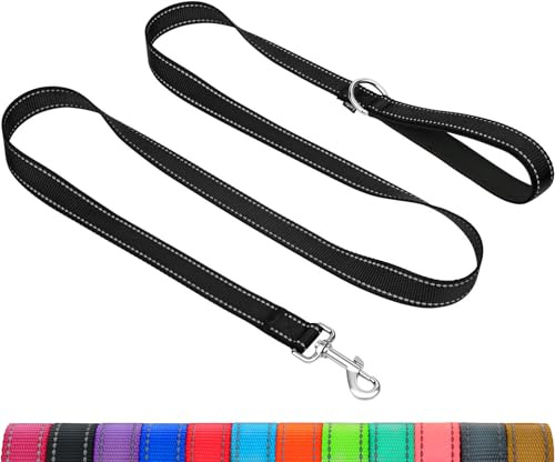 Taglory Guinzaglio per Cani Riflettente con Manico Imbottito e Gancio in Metallo, Nylon Resistente Addestramento Cane Guinzaglio, 1.2 m x 2.0 cm, Nero
