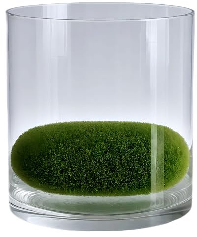 TINYVISTA Transparente Glasvase, 12 cm Durchmesser x 12 cm Höhe, breite Knospe, Hurrikan-Kerzenhalter, Pflanzgefäß, Terrarium, Blumenvase für Hochzeit, Party, Tischdekoration, Dekoration
