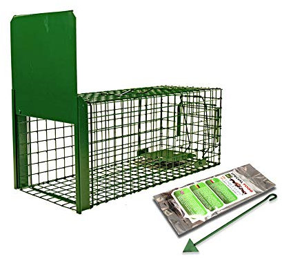Holtaz Fallen Strong Grün 105x34x42 cm 1 Tür Marderfalle Katzenfalle Fuchsfalle Biberfalle Tierfalle Kastenfalle Drahtfalle Lebendfalle Mit Extra Köder