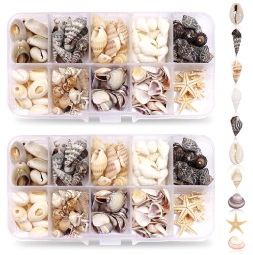 SCUML Mixed Sea Shells, 440PCS Mini Sea Shells for Crafts Natural Starfish